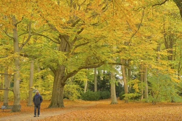 Autumn in Großer Tiergarten Park, Mitte, Berlin, Germany