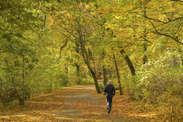 Autumn in Rudolph Wilde Park, Volkspark Schöneberg, Berlin, Germany