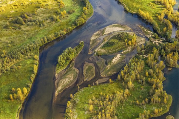 Aerial view, lip estuary, river Lippe and small islands with autumn trees in the NSG nature reserve, shapes and colors, Wesel, Lower Rhine, North Rhine-Westphalia, Germany, DE, Europe, aerial photography, aerial photography, overview, birds-eyes view, overview