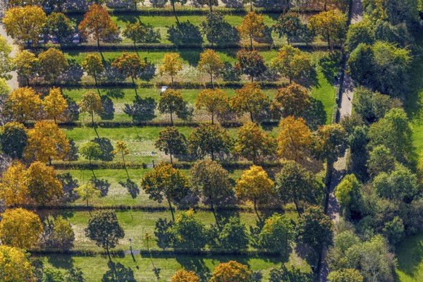 Aerial view, parking lot with autumn trees at the lido, shapes and colors, Wesel, Lower Rhine, North Rhine-Westphalia, Germany, DE, Europe, aerial photography, aerial photography, overview, bird's eye view, birds-eyes view, overview