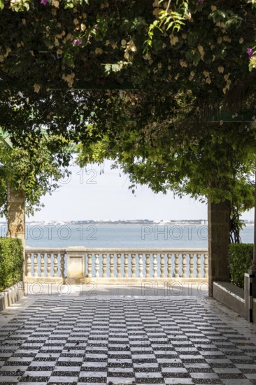 Beautiful natural park with views of the sea through pink bougainvillea. The ornamental pond in Genovés Botanic Gardens Cadiz, Andalusia Spain