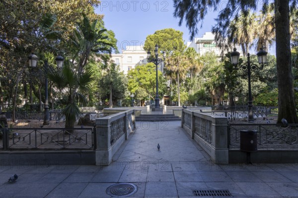 Beautiful natural park, the ornamental pond in Genovés Botanic Gardens Cadiz, Andalusia Spain