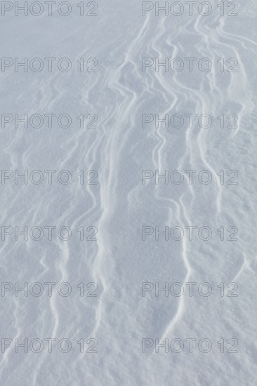 Wind has made patterns on snow surface, Toronsuo National Park, Tammela, Finland