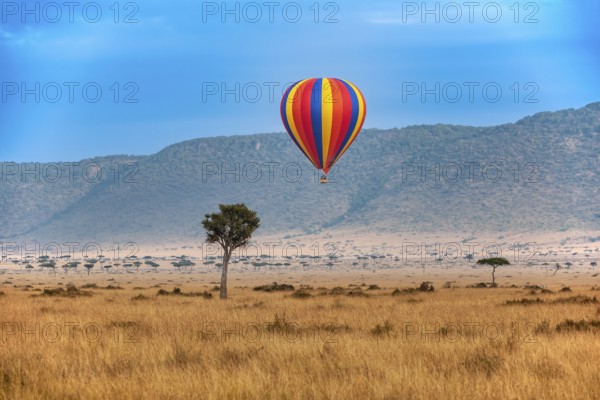 Early morning hot air balloon over the Masai Mara, Kenya