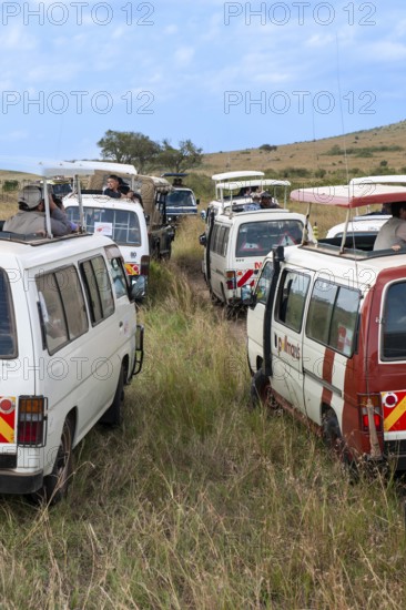 Safari cars on the Mara River with tourists waiting for the wildebeest migration, Masai Mara, Kenya