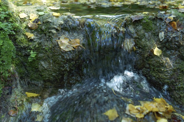 Ronda, malaga, spain Water flowing over mossy rocks in a forest, surrounded by golden autumn leaves. A peaceful natural scene