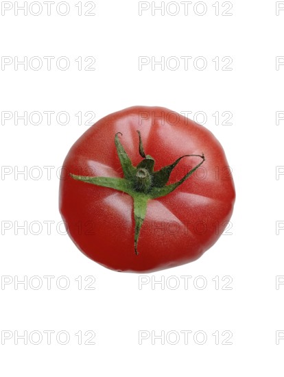 Juicy ripe tomato with green sprout on white background