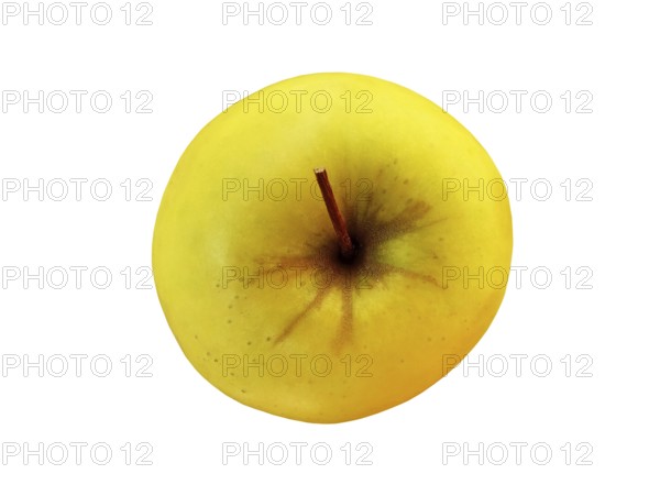 Golden juce sweet apple on white background