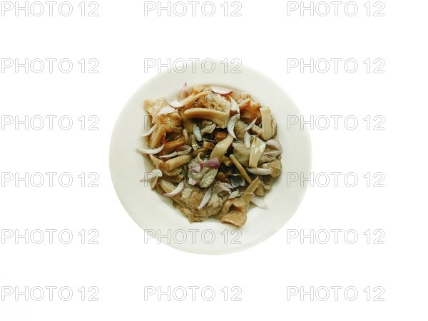 Delicious dish in the form of homemade salted mushrooms with onions in a plate on a white background