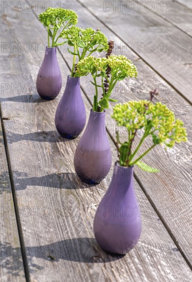 Purple vases with green flowers on a wooden table in minimalistic arrangement, North Rhine-Westphalia, Germany