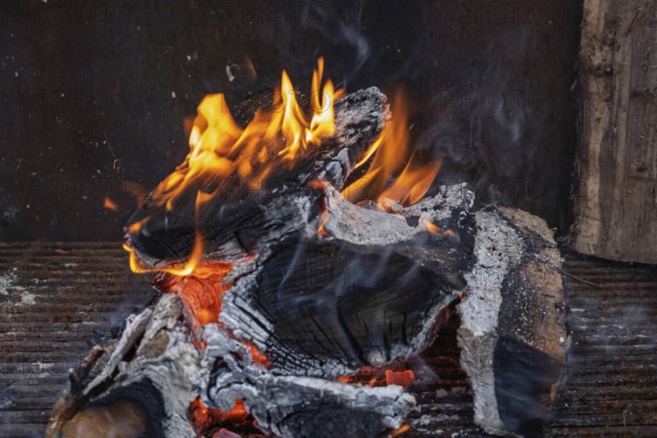 Burning wood in a fire with lively flames and blistering heat, North Rhine-Westphalia, Germany