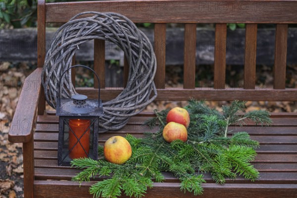 Wooden bench with apples, pine branches, wreath and lantern in rustic style, North Rhine-Westphalia, Germany