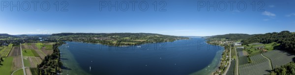 Untersee between Mammern and Eschenz, drone shot, Thurgau, Switzerland