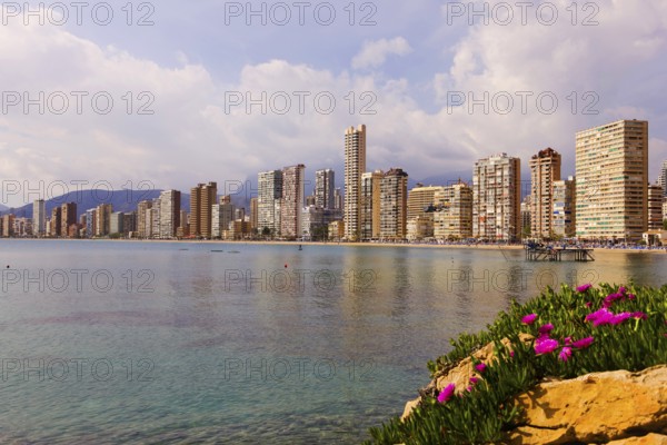 View of high-rise skyline, Little Manhattan, skyscrapers, Benidorm, Valencia (region), Costa Blanca, Spain
