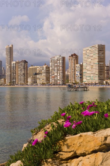 View of high-rise skyline, Little Manhattan, skyscrapers, Benidorm, Valencia region), Costa Blanca, Spain