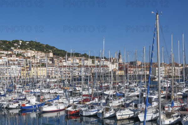 Densely packed sailboats and yachts with numerous masts in the port of Sete, with the densely built old town and Mont Saint-Clair in the background under bright blue skies in Sete, Herault department, Occitanie region, France