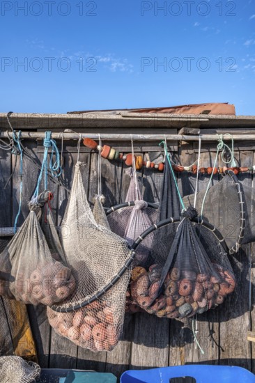 Close-up of various fishing nets and fish traps with red floats and shackles suspended for drying on a rough wooden wall of a fisherman's house in the port of La Pointe Courte in Sete, Herault department, Occitanie region, France