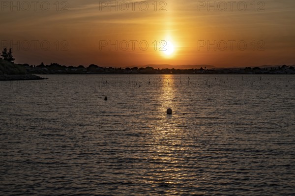 A golden sunset over the Etang de Thau with strong light reflection on the water surface, the skyline of the distant coast as a silhouette and piles of oyster farming in the water, taken from the shore in Le Barrou in Sete, Herault department, Occitanie region, France