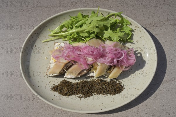 Herring, onions, Latvian rye bread Rupjmaize, Latvia