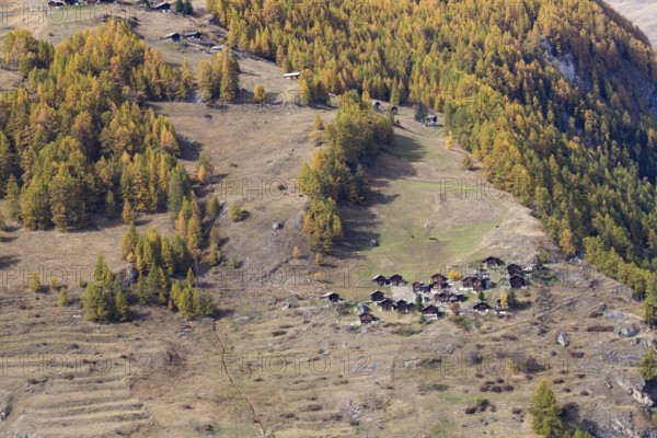 Tiny little town on the mountain. Wooden nostalgic houses are surrounded by grassland and forest in autumn colours. Rhone Valley, Valais, Switzerland