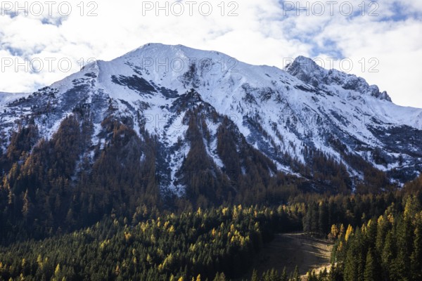 Snow on mountain peaks, autumn leaves, Eisenerzer Reichenstein behind, Eisenerzer Alps, near Vordernberg, Styria, Austria