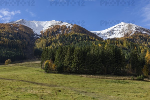 Snow on mountain peaks, autumn leaves, Eisenerzer Alps, near Vordernberg, Styria, Austria