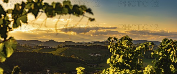Vineyards and hills silhouetted against a glowing sunset sky, Gamlitz, Austria
