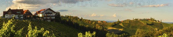 Vineyards and houses nestled in rolling hills under a sunny sky, Gamlitz, Austria
