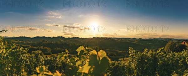 Sunset over vineyards, casting warm light on the landscape, Gamlitz, Austria