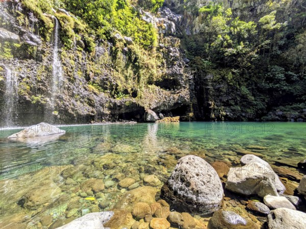 Clear rocky pool with a small waterfall in a lush forest setting, La Réunion, France
