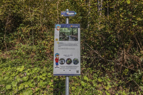 Information board of the artificially created water channel that used to power the historic oil mill and sawmill in Böttstein. Böttstein, Aargau, Switzerland