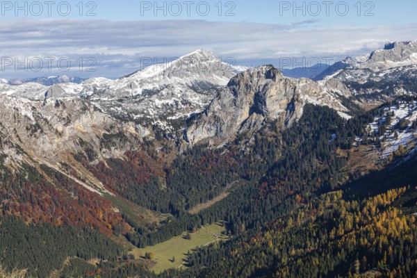 Autumn atmosphere, forest with leaves, snow in the background on the Brandstein summit, Hochschwabgebiet, the Gsollalm valley, Styria, Austria