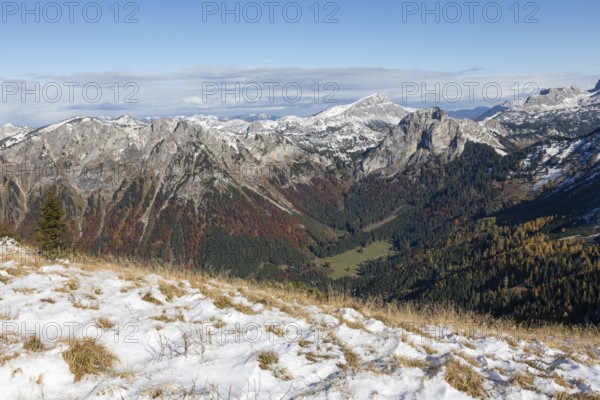 Autumn atmosphere, forest with leaves, snow in the background on the Brandstein summit, Hochschwabgebiet, the Gsollalm valley, Styria, Austria