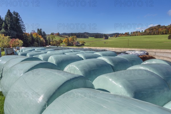 Blue sky, silage bales near the village of Masers near Kempten, Swabia, Bavaria, Germany