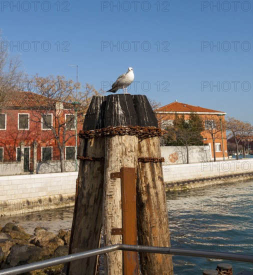 Island Murano, Venice, Italy
