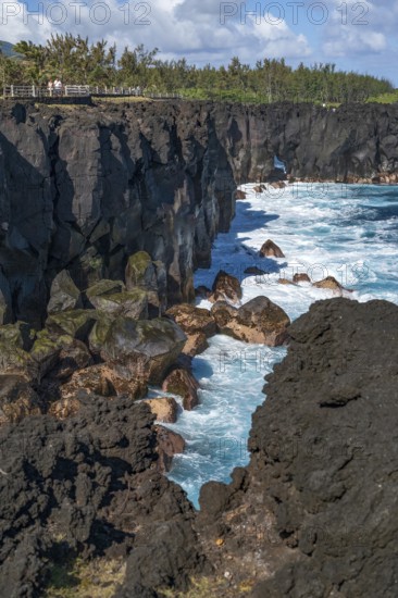 Massive, black lava cliffs rise steeply out of the Indian Ocean at Cap Mechant, where white surf washes around the volcanic rock, while in the background a series of palm trees and tropical trees separate the lava coast from the land side, Cap Mechant, South Coast, La Reunion, France