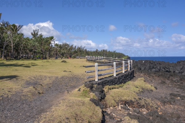 A rustic wooden barrier on a black lava foundation borders the viewpoint at Cap Mechant, where the Indian Ocean meets the lava coast, while a strip of green grass and a border of tropical trees (filaos) frame the scene under a blue sky with white clouds, Cap Mechant, South Coast, La Reunion, France
