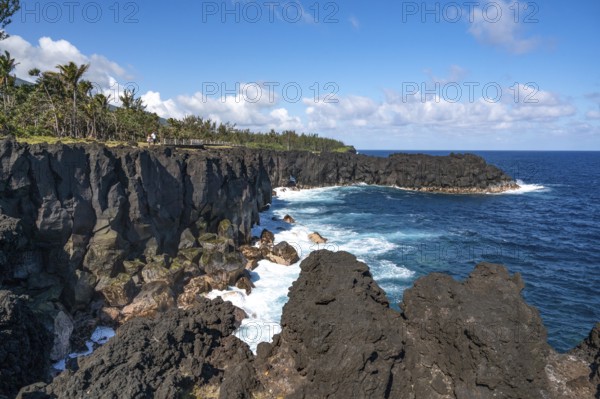 Massive, black lava cliffs rise steeply out of the Indian Ocean at Cap Mechant, where white surf washes around the volcanic rock, while in the background a series of palm trees and tropical trees separate the lava coast from the land side, Cap Mechant, South Coast, La Reunion, France