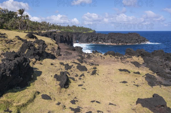 The barren lava coast at Cap Mechant with black lava cliffs and boulders, here and there with sparse green-yellow grass while a massive, dark lava tongue rises into the deep blue Indian Ocean and a thick border of tropical trees (vacoas and palm trees) shields the hinterland, Cap Mechant, South Coast, La Reunion, France