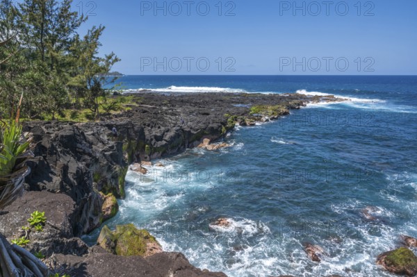 The black lava coast near the Marine de Vincendo offers a wide view of the deep blue Indian Ocean, whose white surf washes around the rugged volcanic rock, while tropical trees and green plants in the foreground shape the steep cliffs and wild nature of the south coast, Marine de Vincendo, South Coast, La Reunion, France