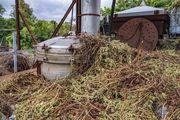 A silver-colored stainless steel distiller stands on a rust-brown frame surrounded by brown-green, processed plant remains (presumably geranium bourbon or vetiver) as a symbol of perfume production, taken on the grounds of C.A.H.E.B. (Cooperative Agricole de Huiles Essentielles de Bourbon), Le Tampon, La Reunion, France