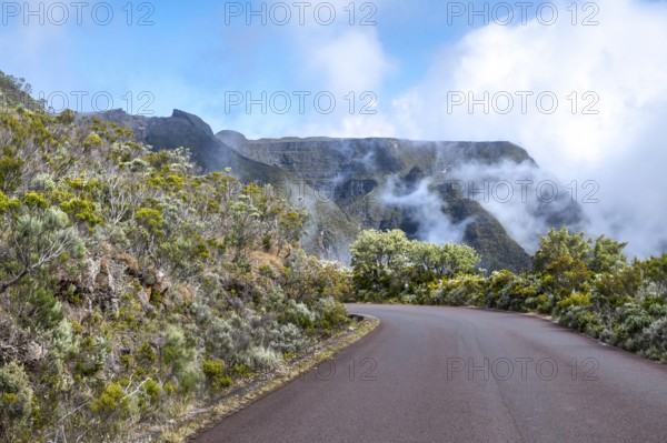 The curvy Route du Volcan snakes downhill through the contrasting landscape, with silvery-green and gray highland bushes (maquis from Branle) dominating the side of the road and the view of the furrowed, fog-shrouded Rempart rock faces of the caldera, Route du Volcan, Highlands, La Reunion, France
