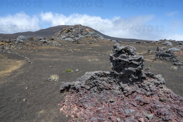 The barren volcanic desert of the Plaine des Sables along the Route du Volcan is dominated by massive, dark brown lava rocks, the forefront of which has an intense rust-red texture, while silvery-gray bushes (Branle blanc) and sparse vegetation cover the black soil and a black-brown volcanic cone lies in the background under a blue sky, Plaine des Sables, Highlands, La Reunion, France