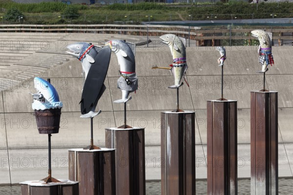 Art installation What If They Bark, fish sculptures by conceptual artist Cosima von Bonin, Urbane Künste Ruhr, Duisburg, North Rhine-Westphalia, Germany