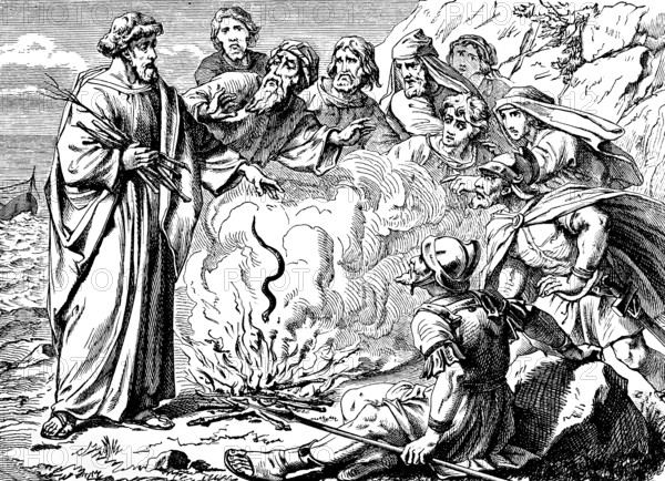 Paul in Melite, Malta, hurls the otters into the fire and remains unharmed, Acts of St. Luke, chapter 28, Mediterranean, stranded group, refuge, murderer, heat, God, New Testament, Bible, historical illustration 1877