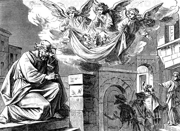 Peter face of the clean and unclean animals, stand on Peter, slaughter and eat, Acts of St. Luke, chapter 10, voice, light in the sky, four-footed animals, wild animals, pure, unclean, angel, city, building, New Testament, Bible, historical illustration 1877