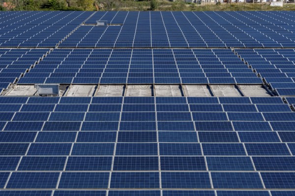 Extensive array of blue solar panels covering a rooftop, capturing sunlight and converting it into sustainable electricity for environmental protection and reduced carbon footprint