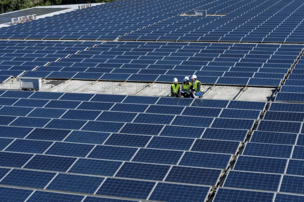 Group of renewable energy technicians reviewing plans and working on a vast array of photovoltaic solar panels, representing sustainable future and clean power generation