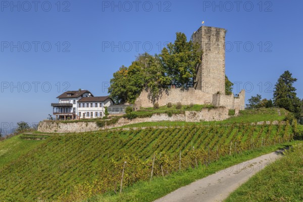 Windeck Castle, Bühl, Black Forest, Baden-Württemberg, Germany, Bühl, Baden-Württemberg, Germany