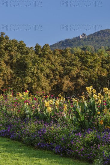 View from the spa park in Baden-Baden to the old castle in Hohenbaden, Black Forest, Baden-Württemberg, Germany